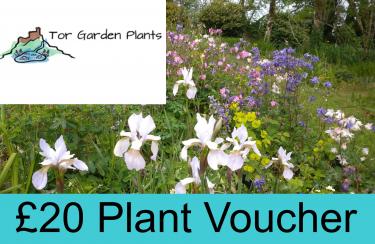 Voucher - £20 Tor Garden Plant Voucher