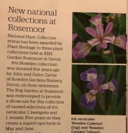 Rowden Iris Collection available at Tor Garden Plants