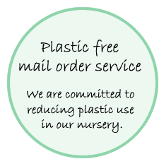 Plastic free mail order service, committed to reducing plastic use in our nursery